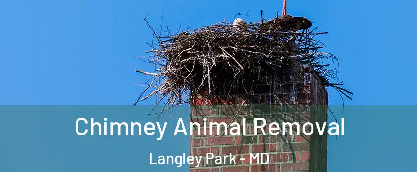  Chimney Animal Removal Langley Park - MD