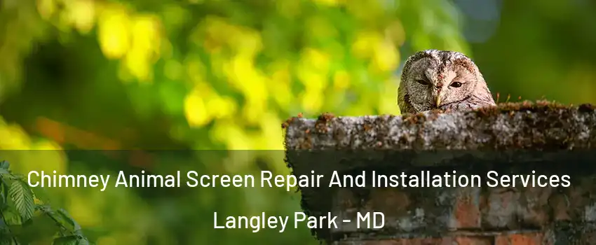 Chimney Animal Screen Repair And Installation Services Langley Park - MD