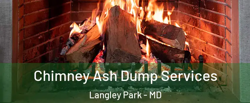  Chimney Ash Dump Services Langley Park - MD