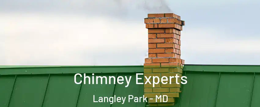  Chimney Experts Langley Park - MD