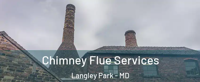  Chimney Flue Services Langley Park - MD