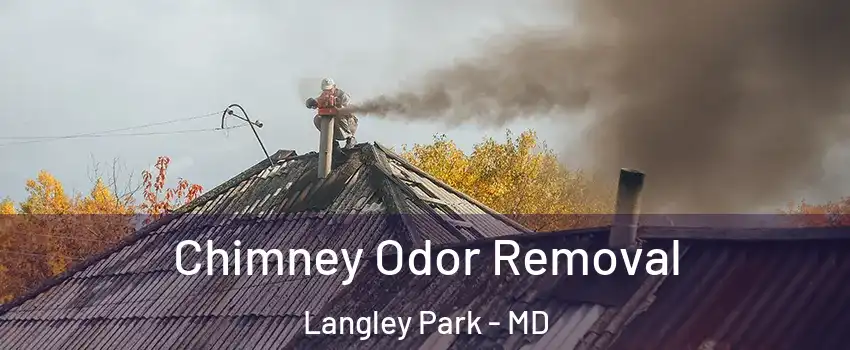  Chimney Odor Removal Langley Park - MD