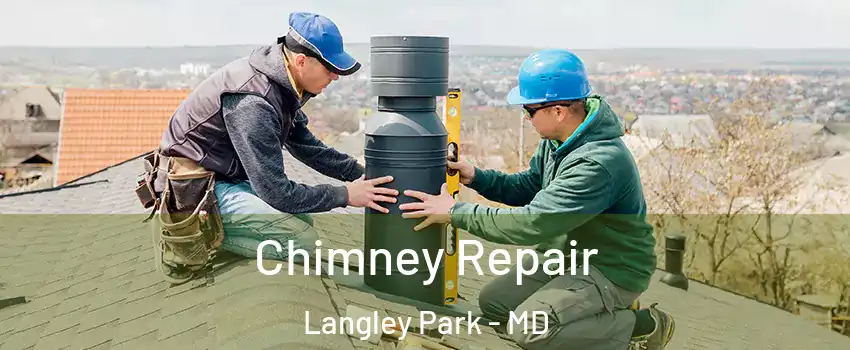  Chimney Repair Langley Park - MD
