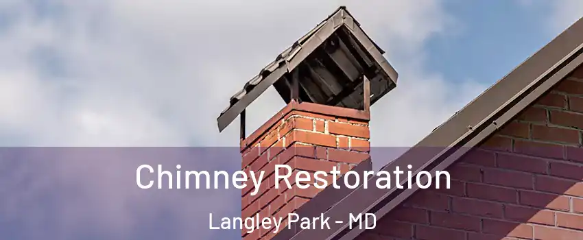  Chimney Restoration Langley Park - MD