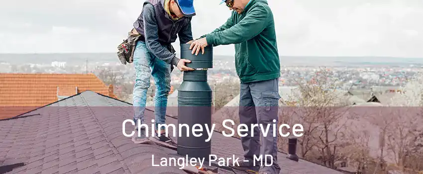  Chimney Service Langley Park - MD