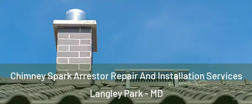  Chimney Spark Arrestor Repair And Installation Services Langley Park - MD