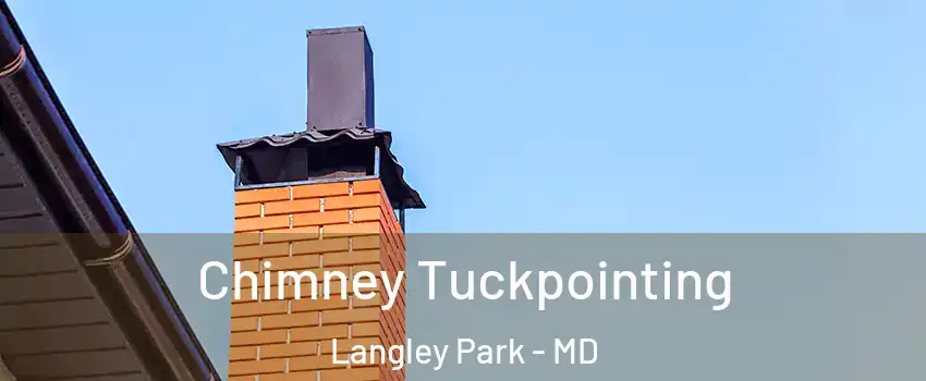  Chimney Tuckpointing Langley Park - MD