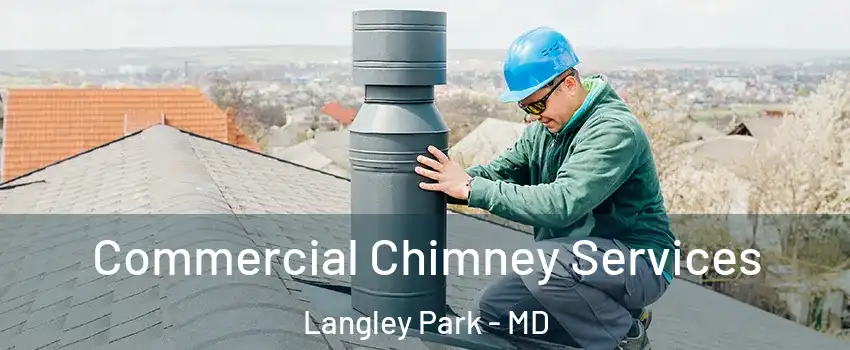  Commercial Chimney Services Langley Park - MD