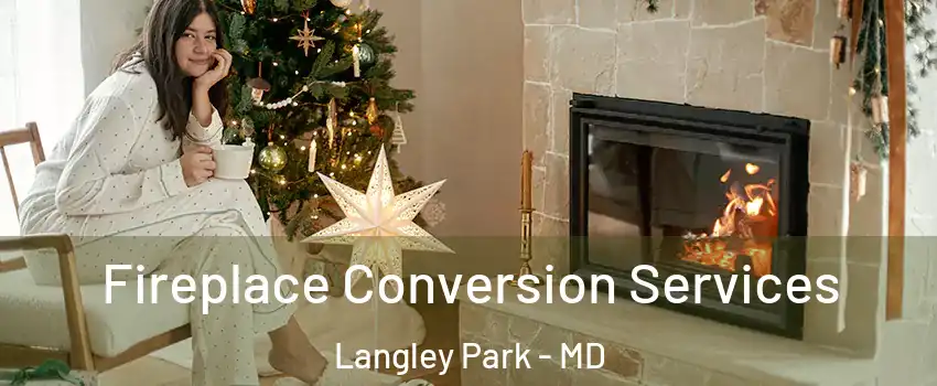  Fireplace Conversion Services Langley Park - MD