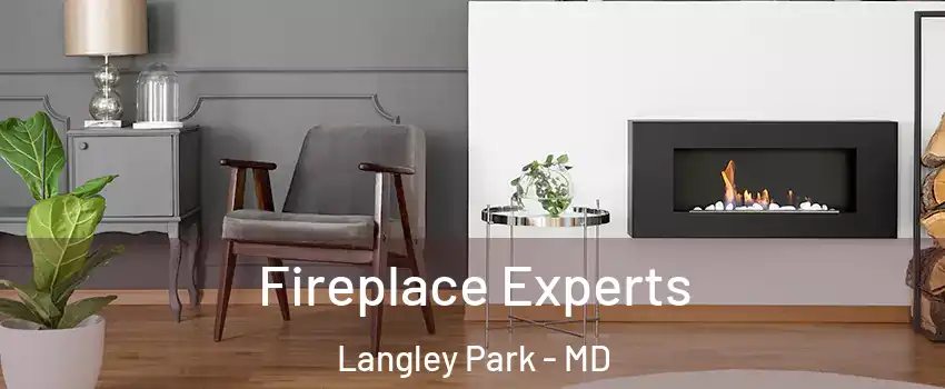  Fireplace Experts Langley Park - MD