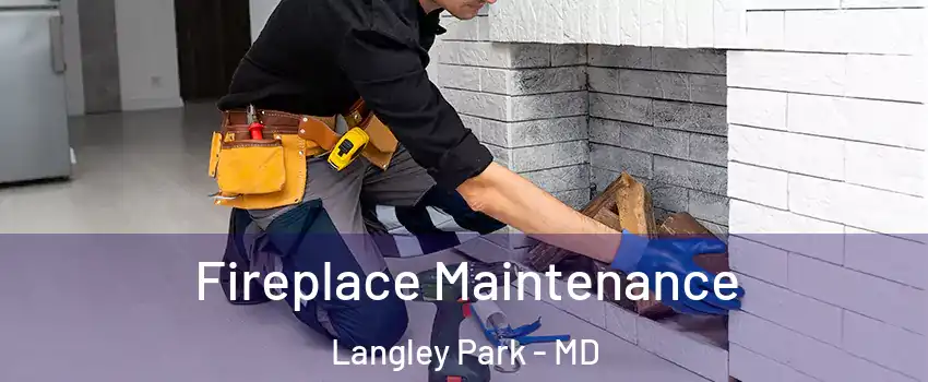  Fireplace Maintenance Langley Park - MD