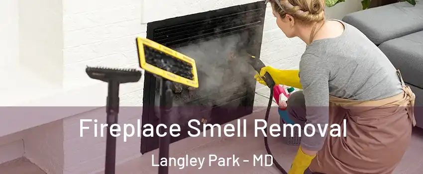  Fireplace Smell Removal Langley Park - MD