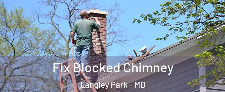  Fix Blocked Chimney Langley Park - MD