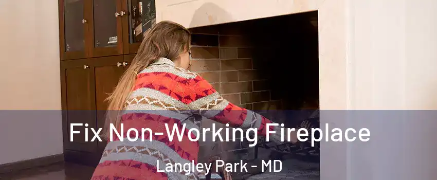  Fix Non-Working Fireplace Langley Park - MD