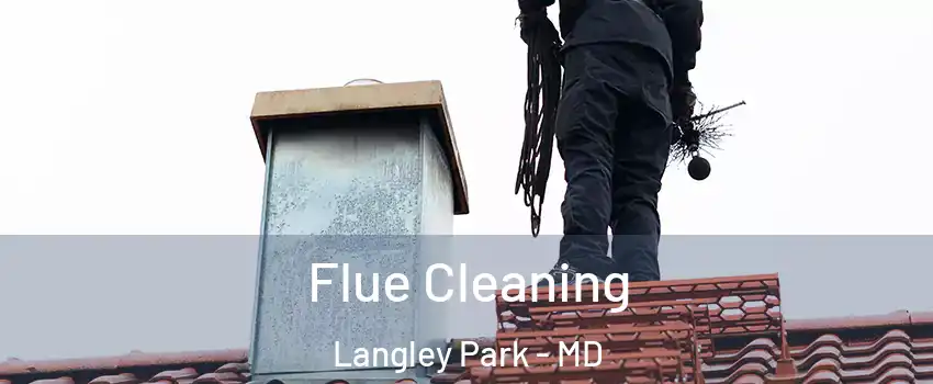  Flue Cleaning Langley Park - MD