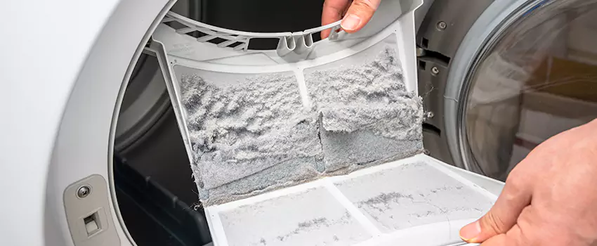 Best Dryer Lint Removal Company in Langley Park, Maryland