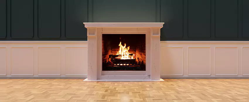 Napoleon Electric Fireplaces Inspection Service in Langley Park, Maryland