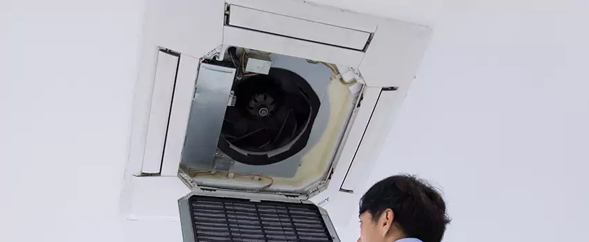 Benefits of Professional Air Duct Cleaning in Langley Park, Maryland