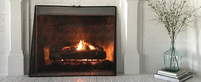 Cost-Effective Fireplace Mantel Inspection And Maintenance in Langley Park, MD