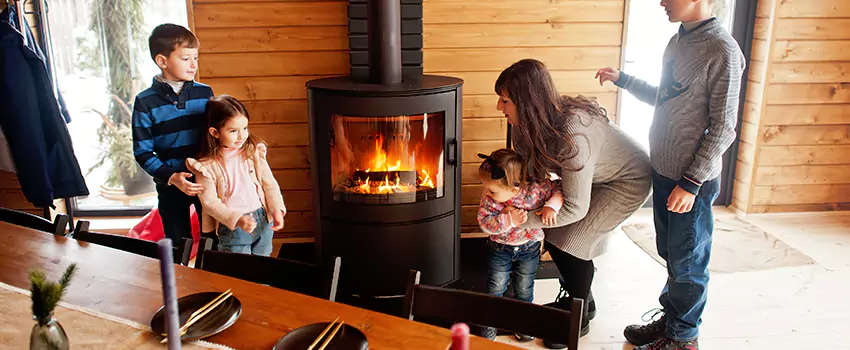Jøtul Gas Fireplace Inspection Service in Langley Park, Maryland