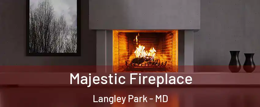  Majestic Fireplace Langley Park - MD