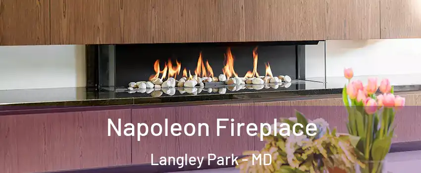  Napoleon Fireplace Langley Park - MD