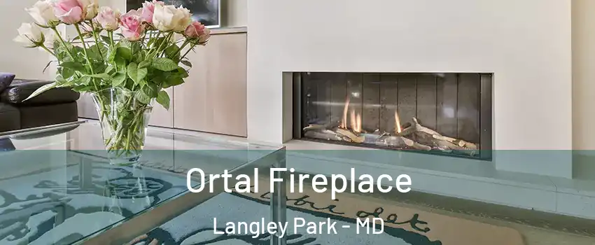  Ortal Fireplace Langley Park - MD